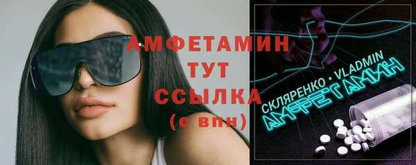 гидра Аркадак