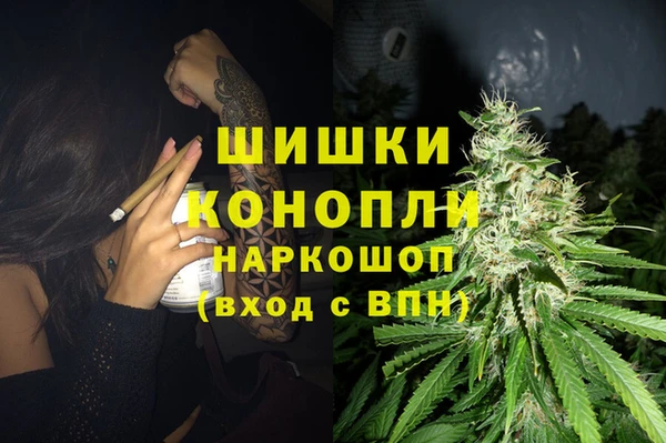 PSILOCYBIN Арсеньев