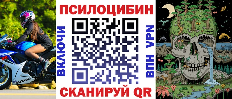 Галлюциногенные грибы Psilocybe  маркетплейс клад  Реж 